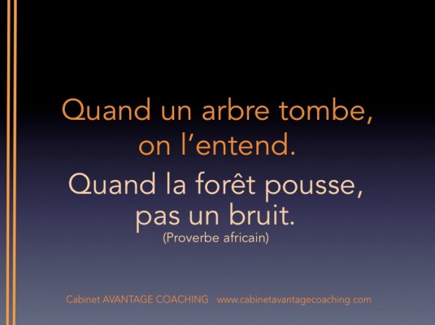 arbre.forêt.AC042016