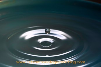 mindfullness-conscience-www.AC.2.2018