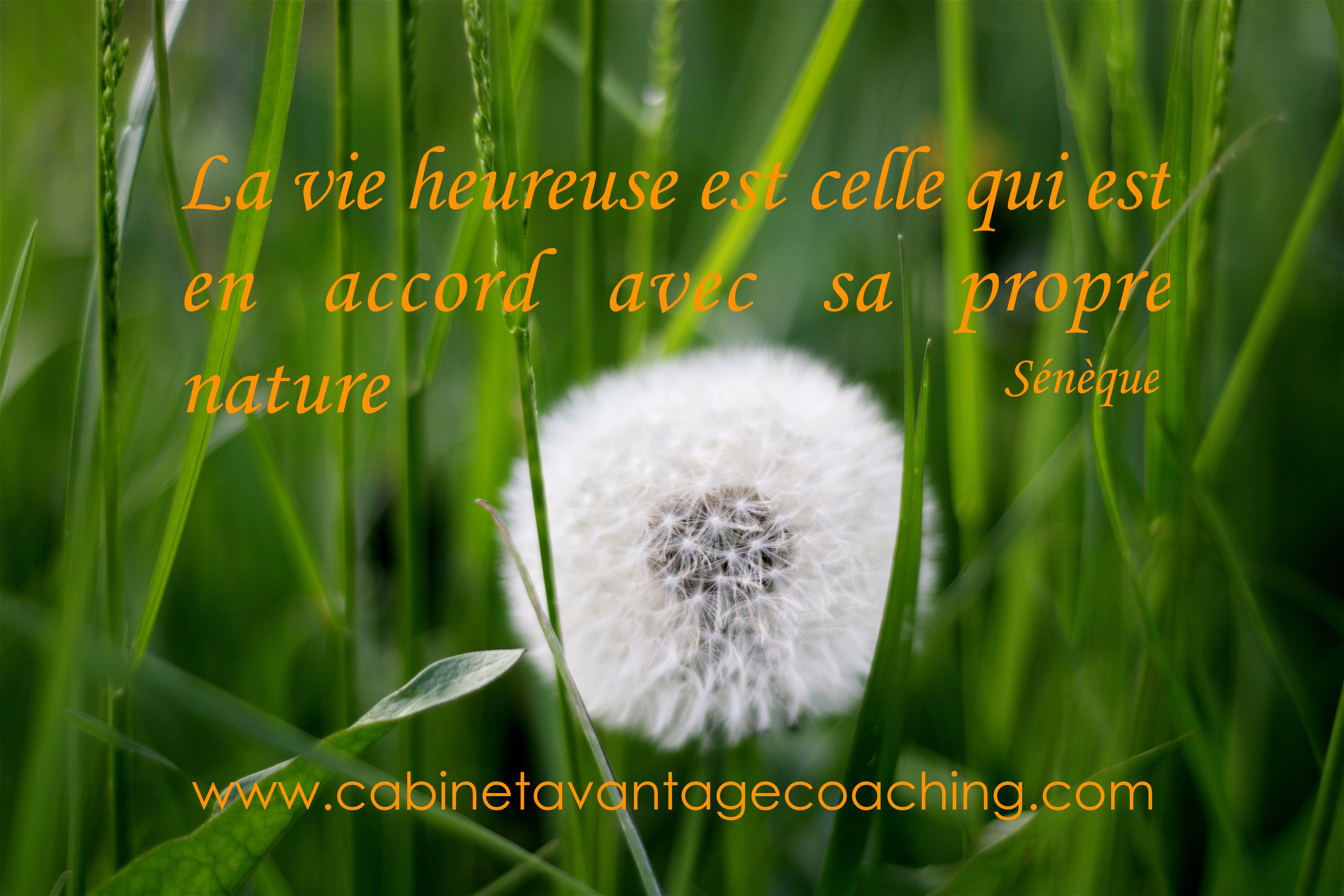 LaVieHeureuse-AC7.2017